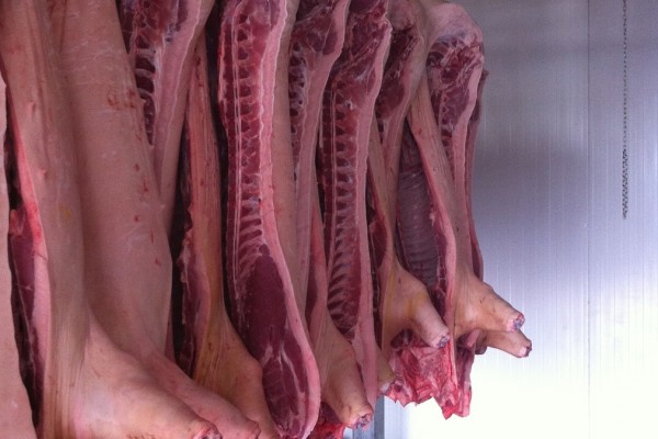 Chilled Frozen Pork Half Carcass - FRIGORIFICO BETTER BEEF LTDA